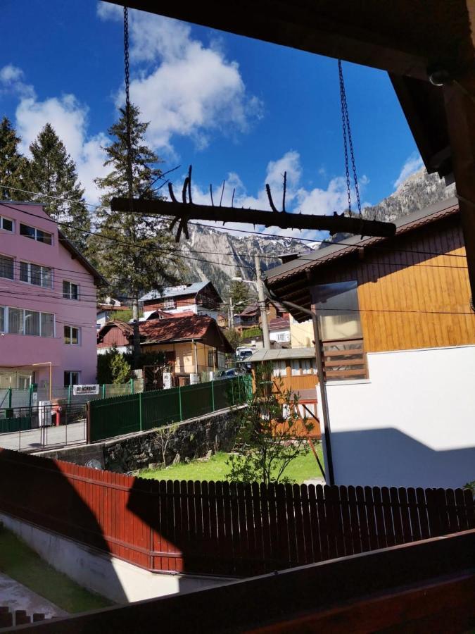 فندق Casa Crisandri بوستين المظهر الخارجي الصورة